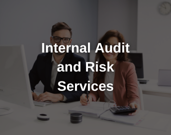 Transaction Advisory Services (1)